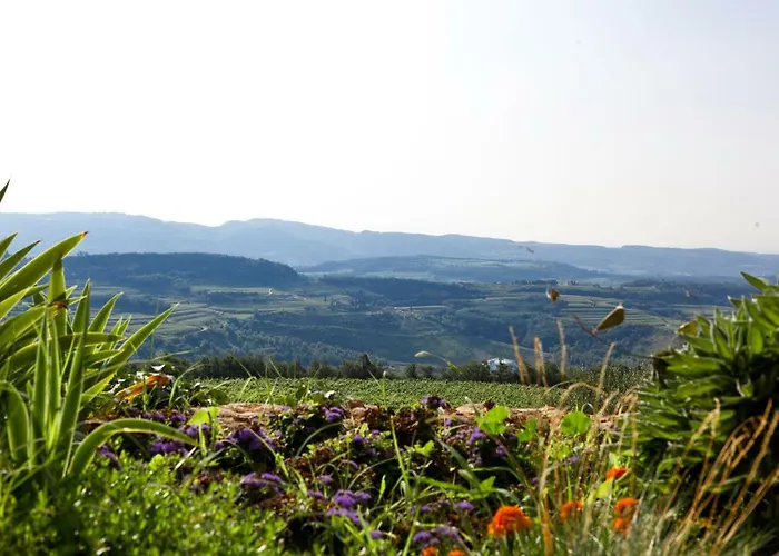 Le Corone Couette-café